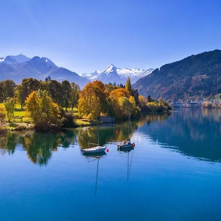 The Steinbock With Garden And Bbq *