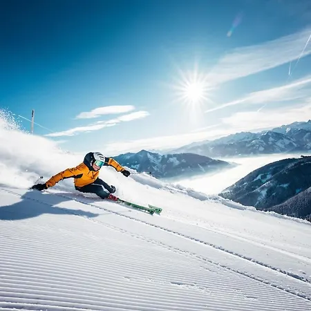 The Steinbock With Garden And Bbq * Целль-ам-Зе